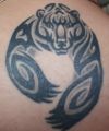 tribal bear tattoo pic